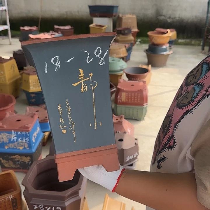 真的要让大家看看我们可爱