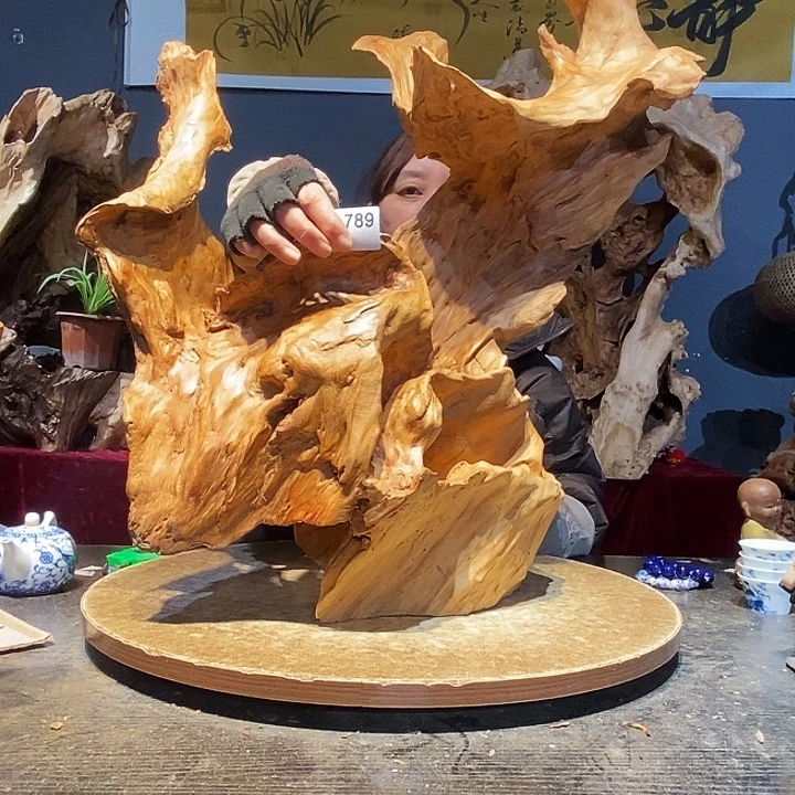 威****装789株木随行的小根艺