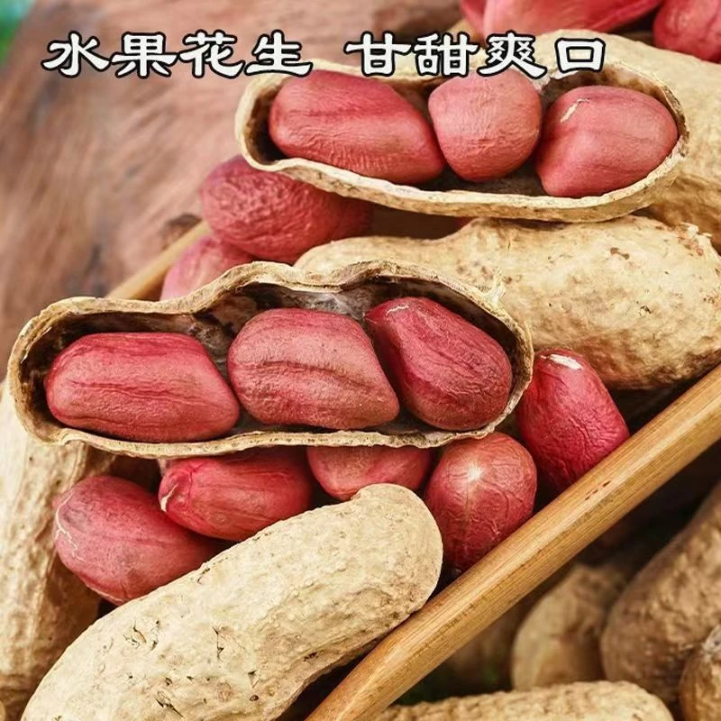 新货水果花生干花生农家自种甜花生带壳水果花生种子自然晾干花生