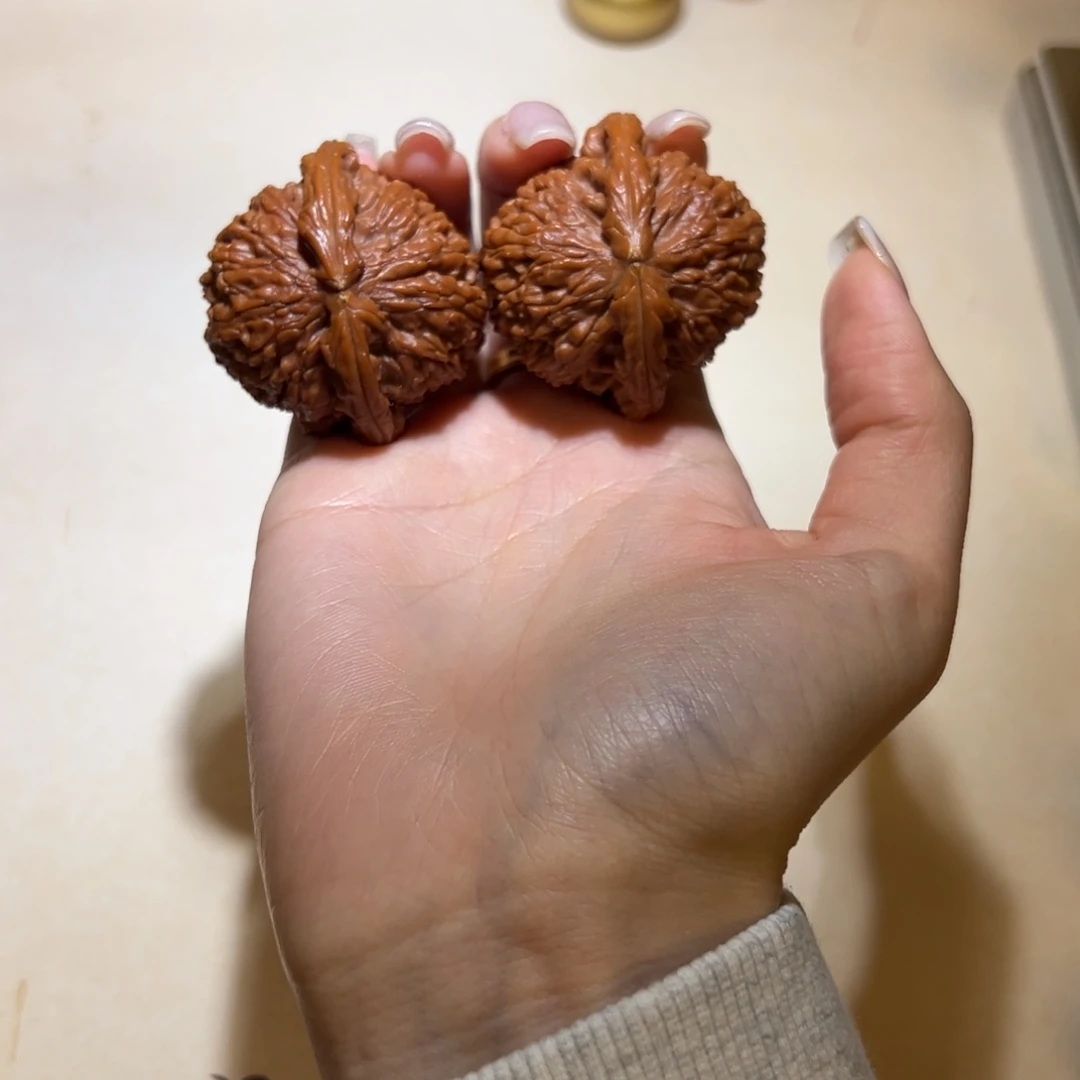 龙核堂放福利啦白狮子