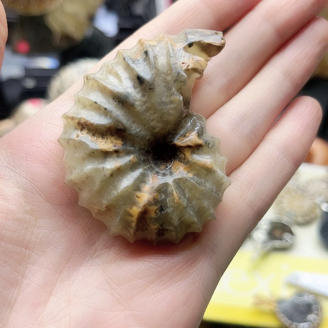 大叶紫檀（黑酸枝木类）