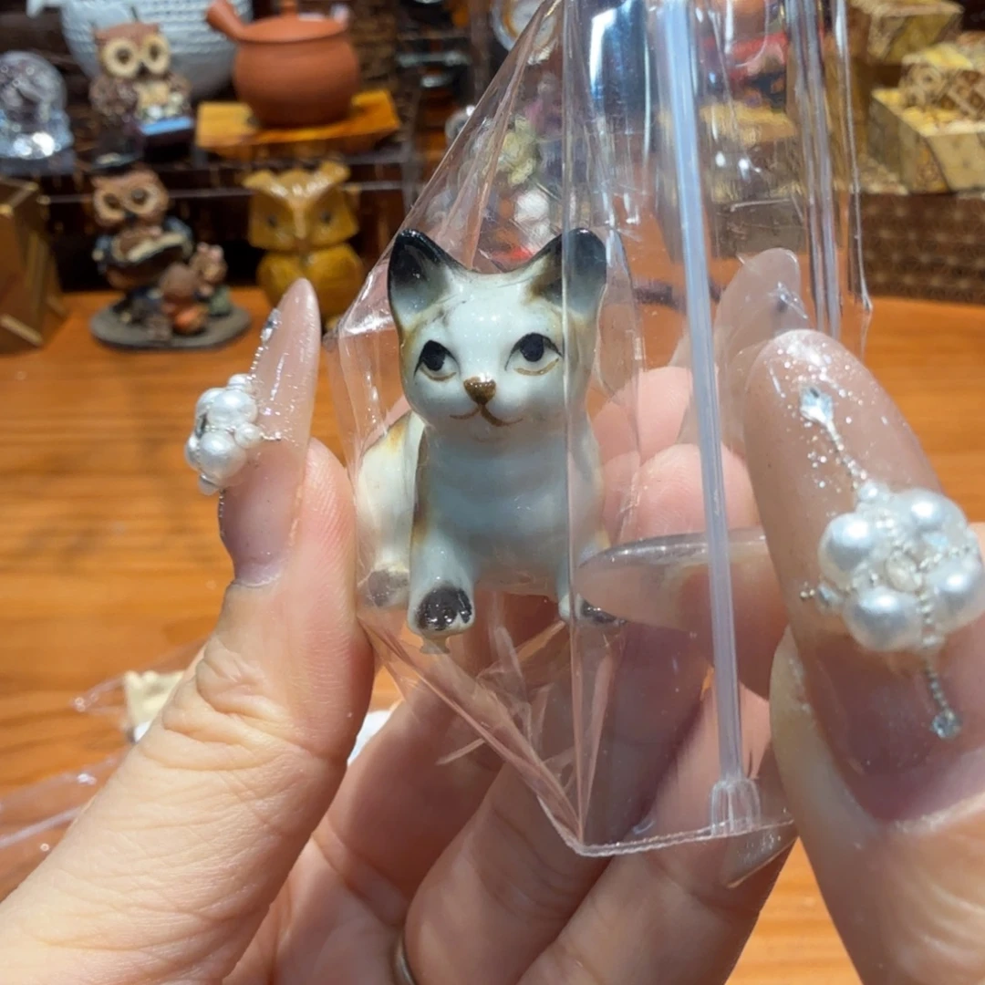 哦哦哦哦哦哦哦哦哦哦