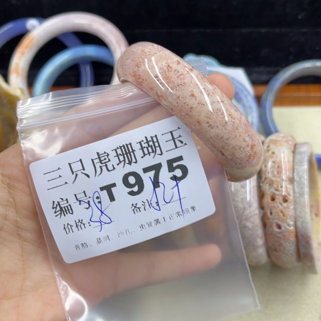 珊***玉硅化珊瑚（珊瑚玉）h未镶嵌