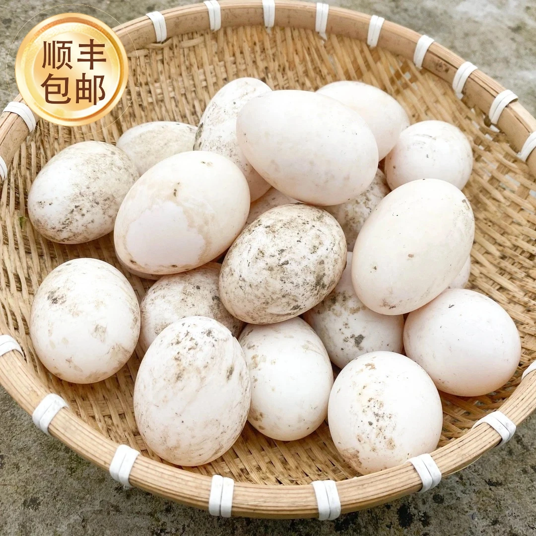 【顺丰包邮】广安农家土鸭蛋粮食喂养新鲜现捡现发（大小不一慎拍）