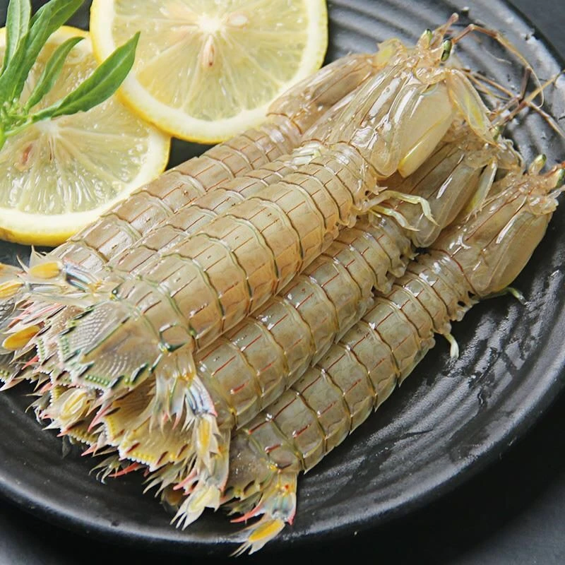 鲜活公皮皮虾 虾爬子吃肉公虾（保鲜不保活）