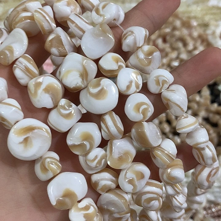 一条大号马蹄螺螺心