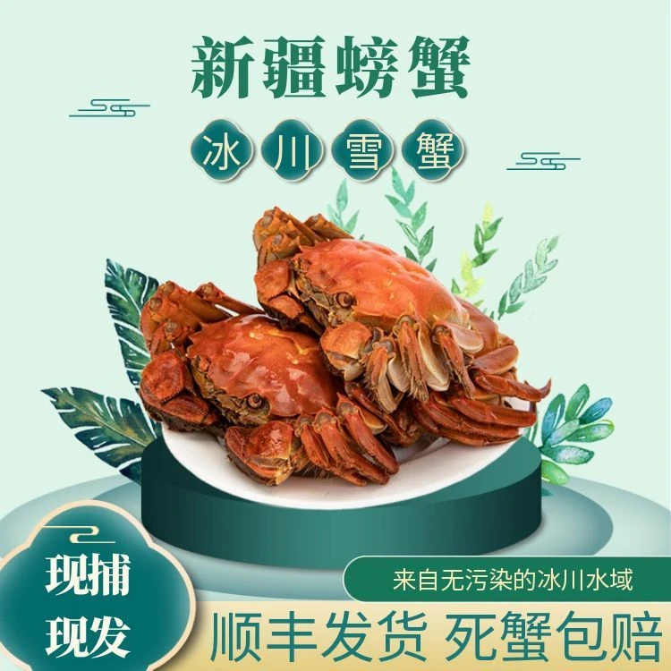 疆域冰川雪蟹【新疆螃蟹】新疆海鲜2-4两公母蟹8只顺丰包邮新疆直发