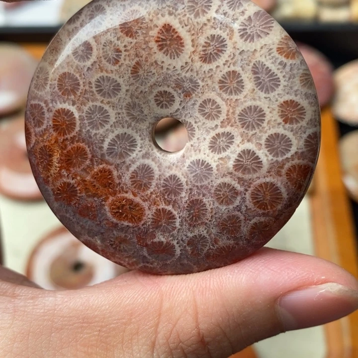 硅化玉颈饰未镶嵌進***子