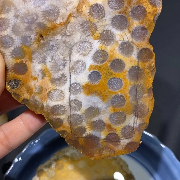 【闪购商品】未镶嵌珊瑚玉硅化玉