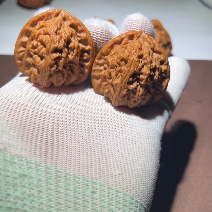 休***沐精品白狮子三角白
