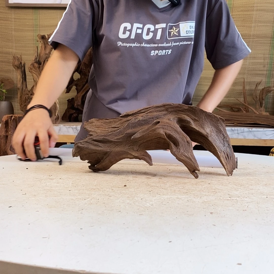 鱼缸寄居蟹爬宠造景素材