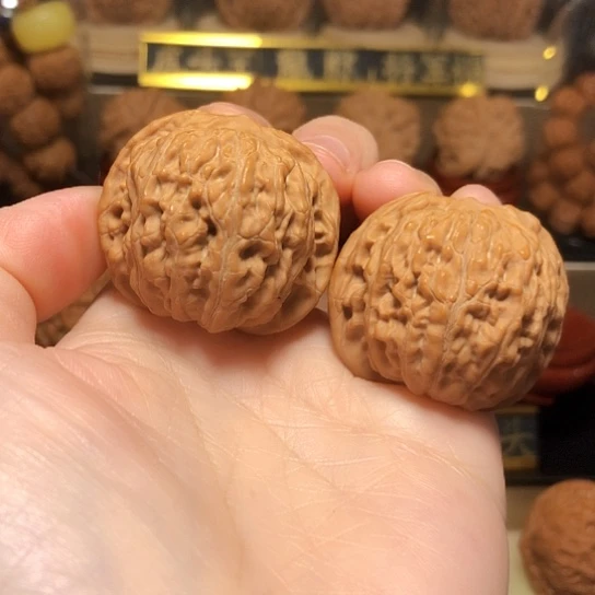 精品野生小众无名