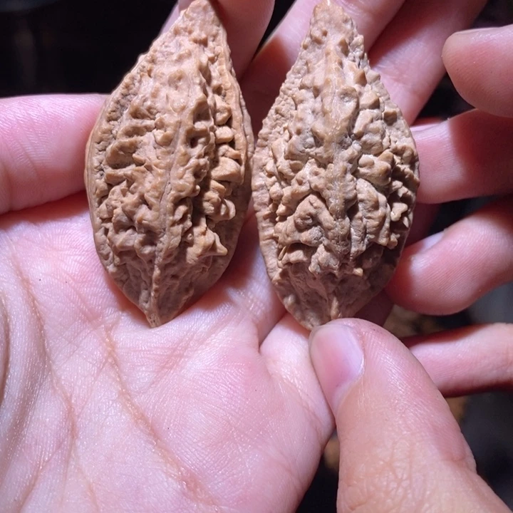 把件文玩核桃东北野生楸子小园 101