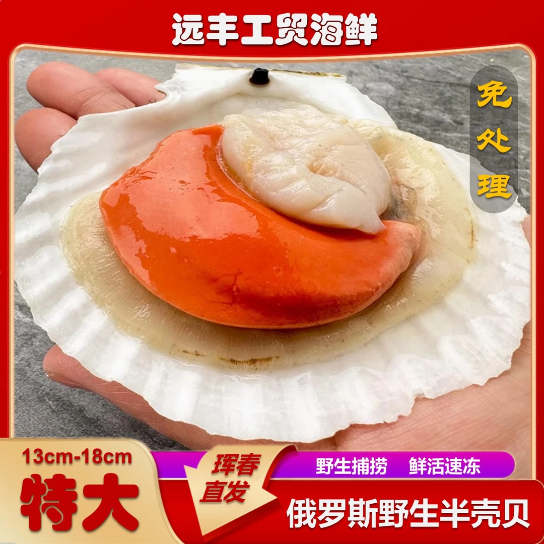 半壳扇贝新鲜捕捞鲜活速冻