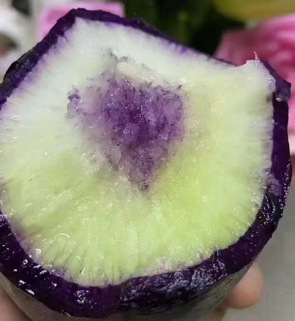 京东包邮-天津小沙窝村奶油冰淇凌萝卜净重9斤