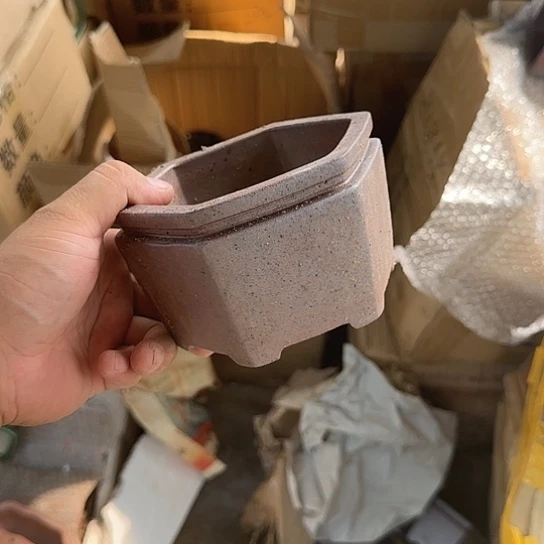 这一期太有意思咯嘛啊太开心啦