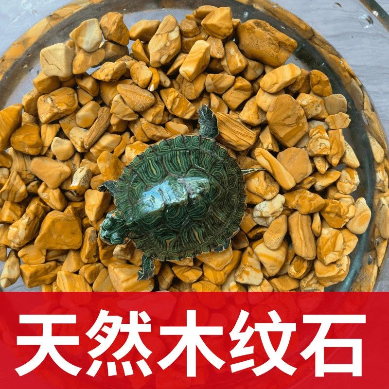 天然木纹石 条纹石 白石头鹅卵石五彩石多肉装饰铺面水培鱼缸造景