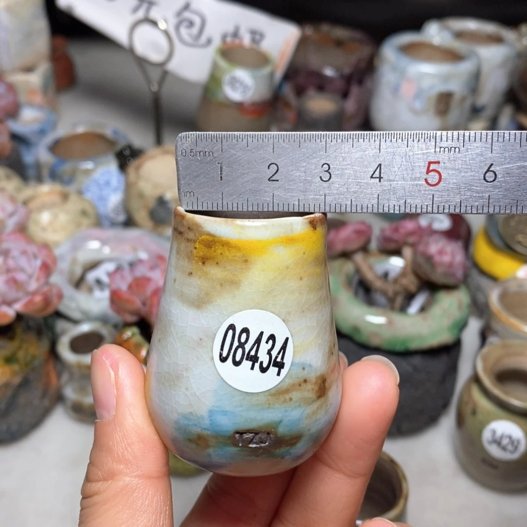 花盆拍5送一个小礼物