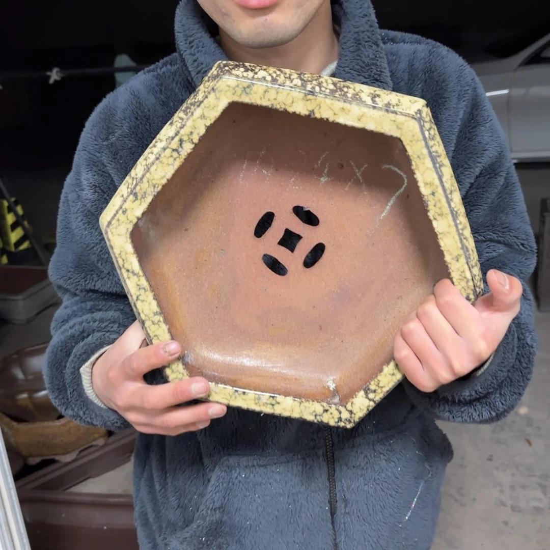 紫砂花盆呜呜呜呜