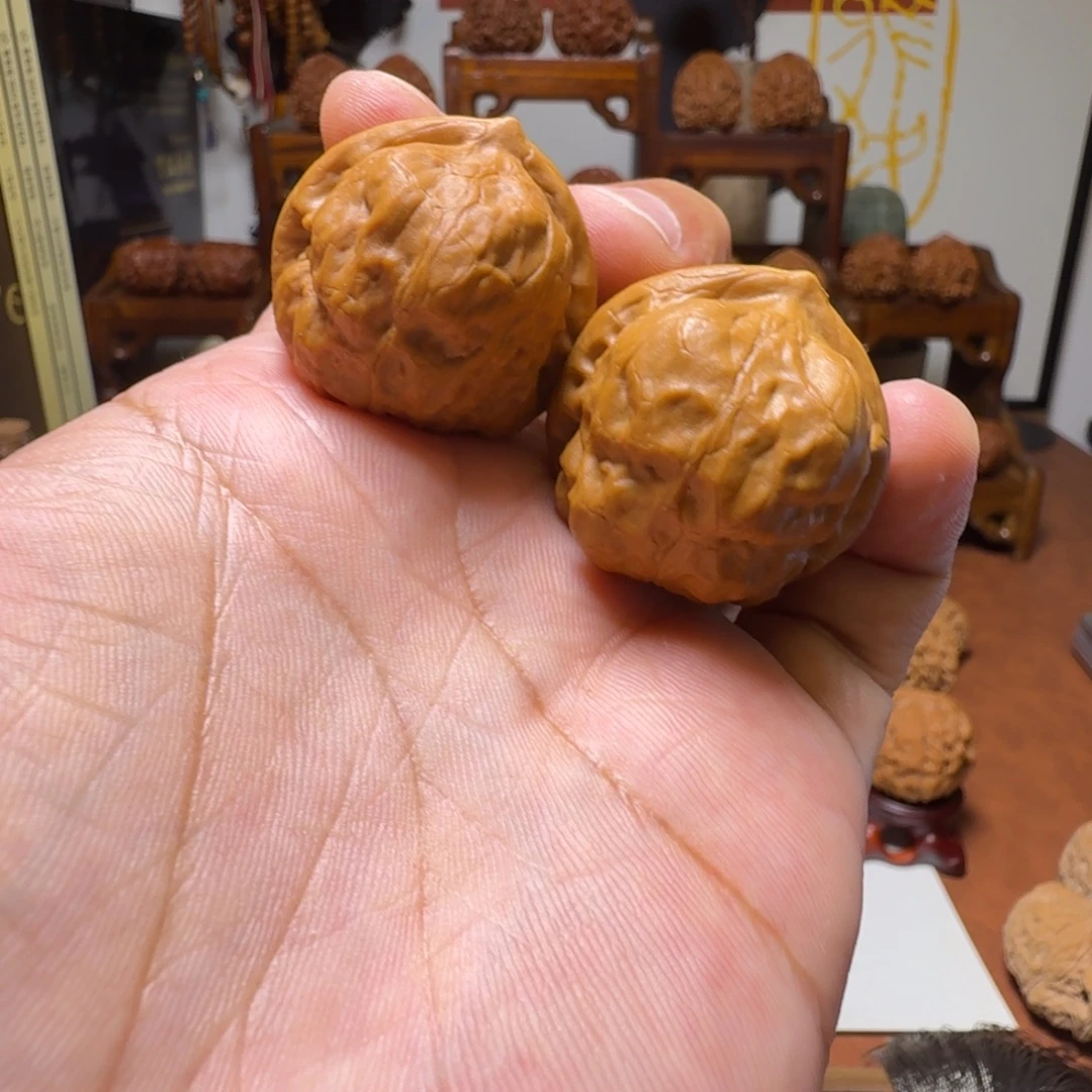 道哥俱乐部f古蟾33