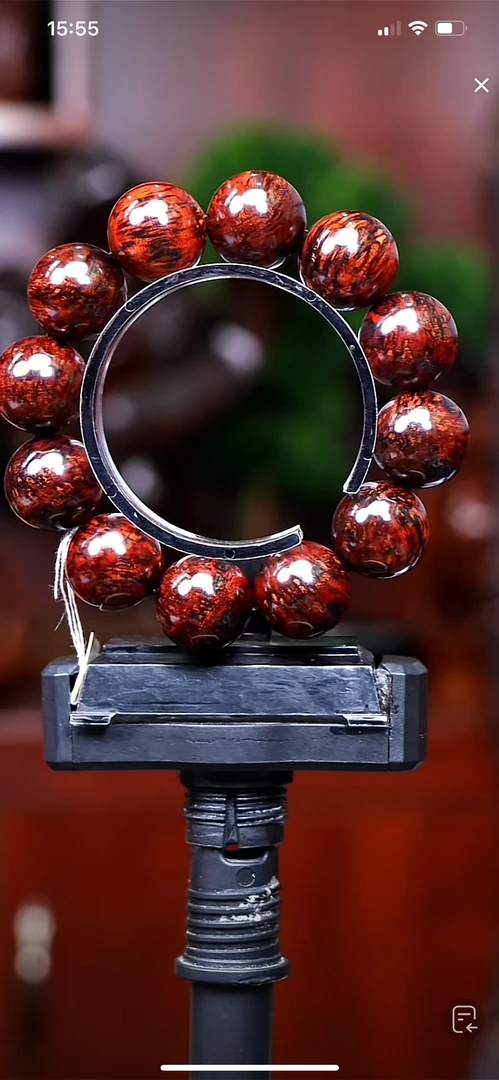 海南红降2.0（多样性发一