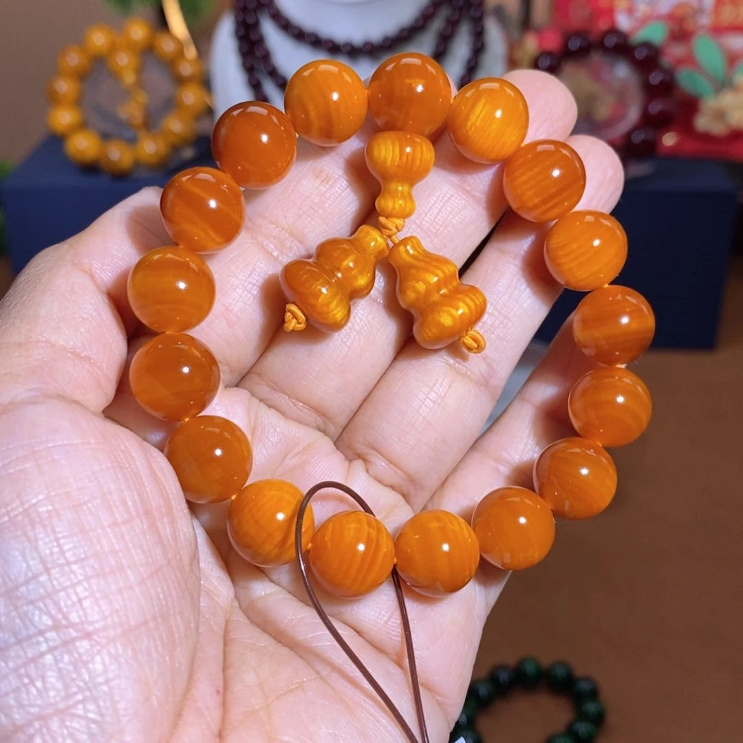 贝壳杉帝王血龙木1.2