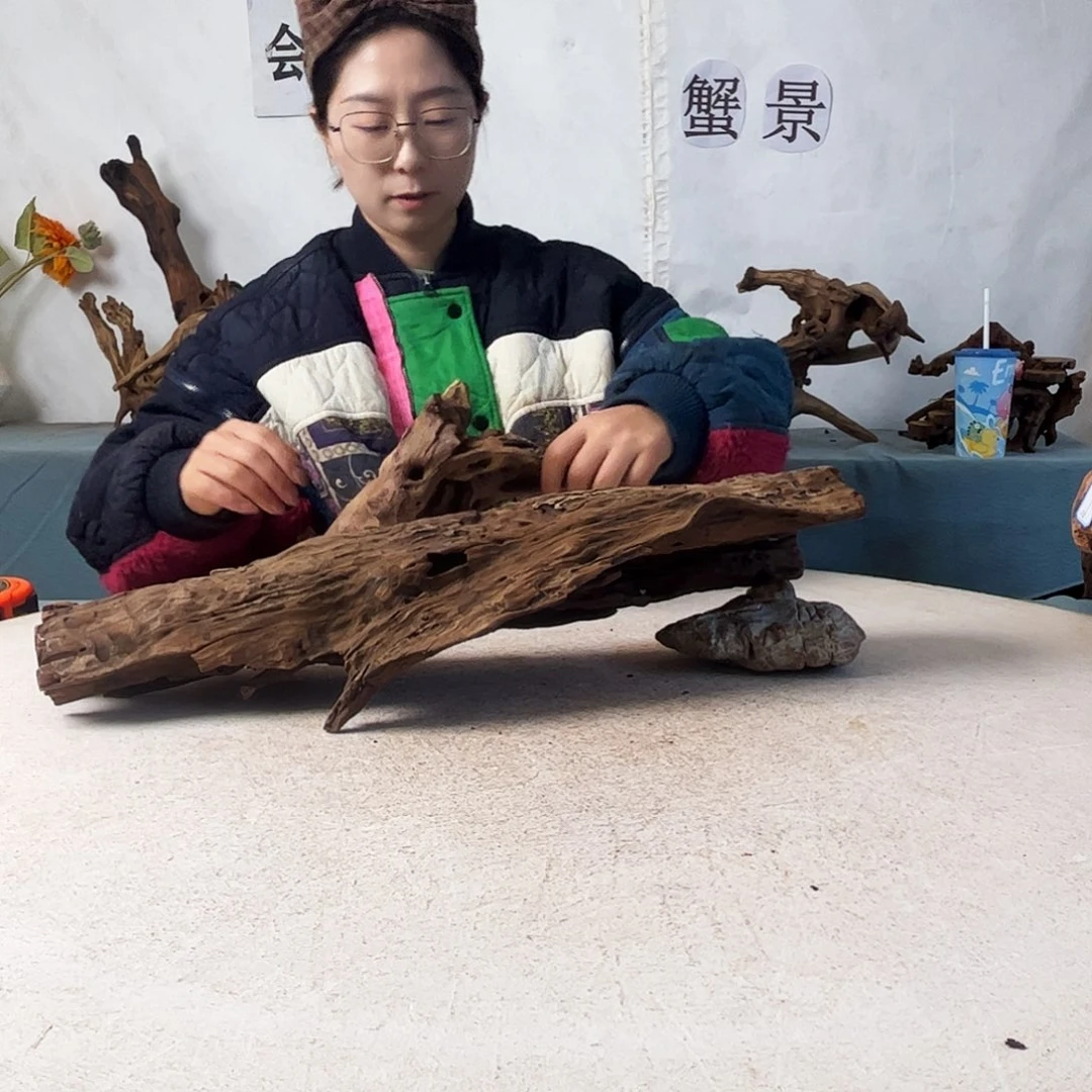 沉木造景爬宠造景