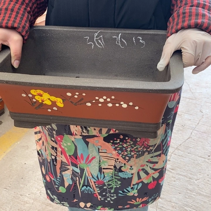 紫砂花盆只顾看手机的