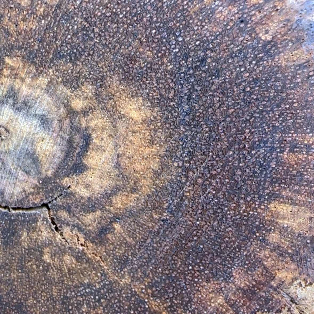 【闪购商品】降真香其他思*定制不退不换