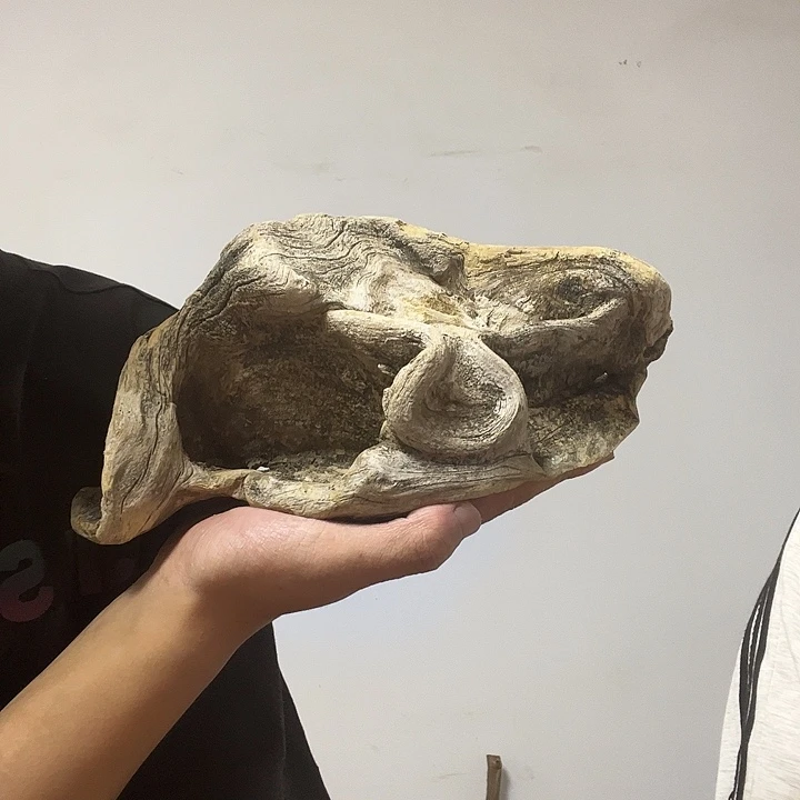 唐***少柏木（崖柏）我也不想说我喜欢