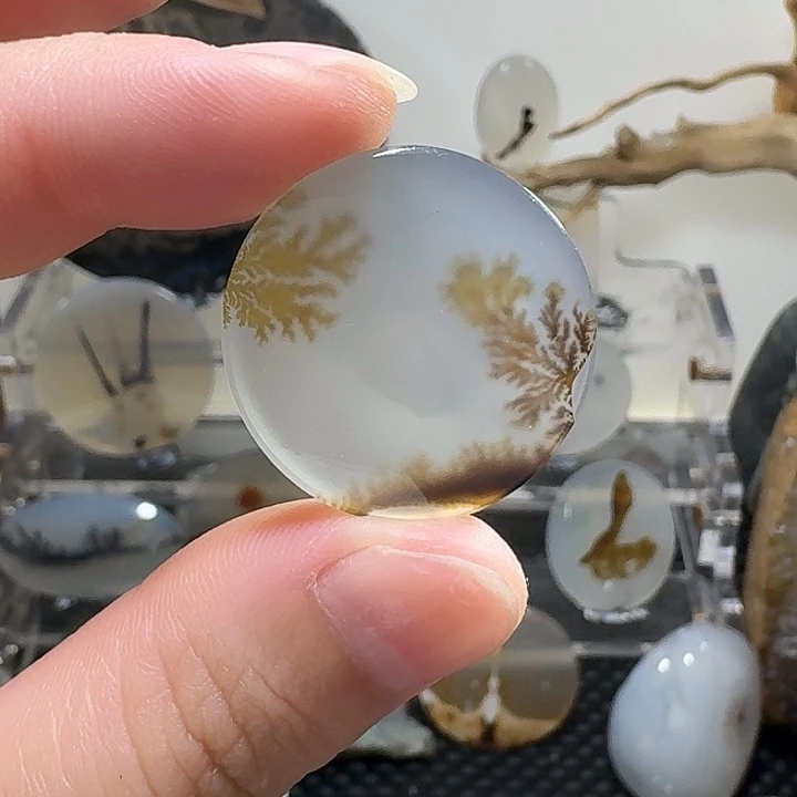 未镶嵌玛瑙/玉髓珠宝奇石