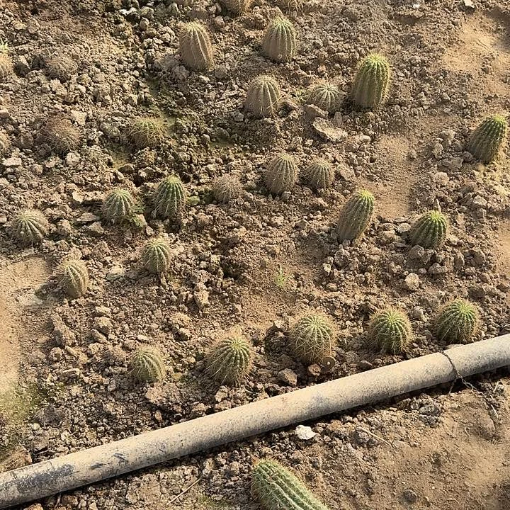 *****533。两个。21号。4个。飞碟一个。无名大气一个