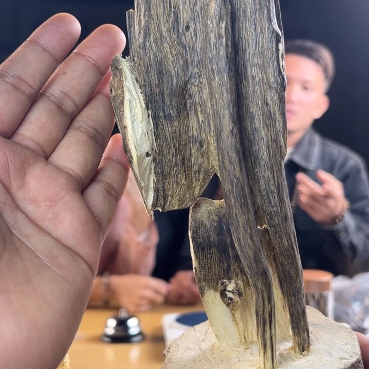 沉香碎屑沉香奇楠虫漏摆160克