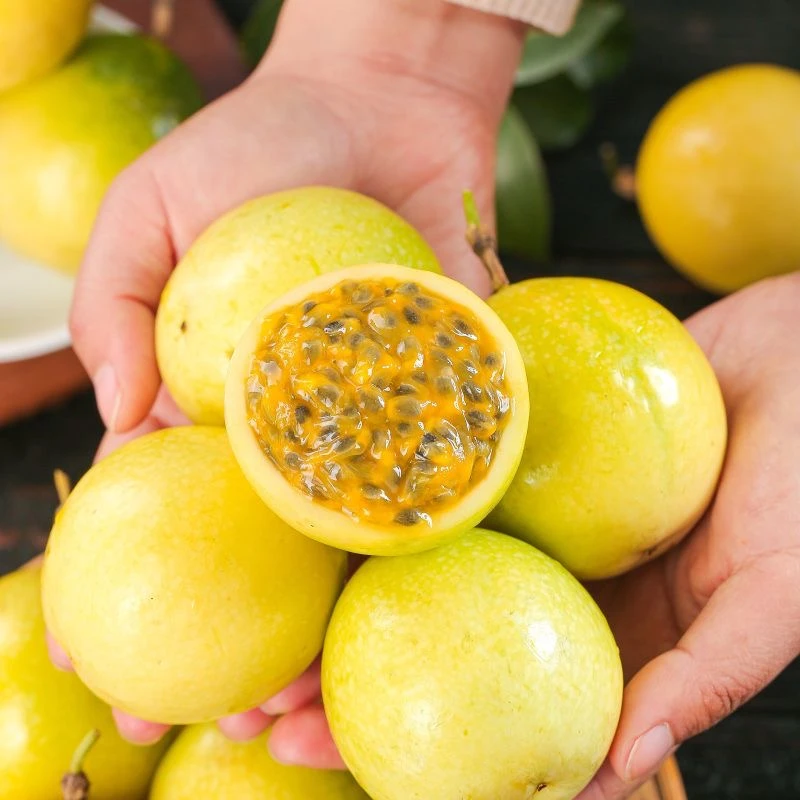 【坏果包赔】钦蜜9号黄金百香果当季新鲜水果香甜多汁现摘现发