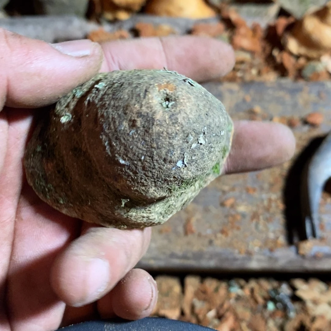 荔枝木小*呀荔枝木原材料