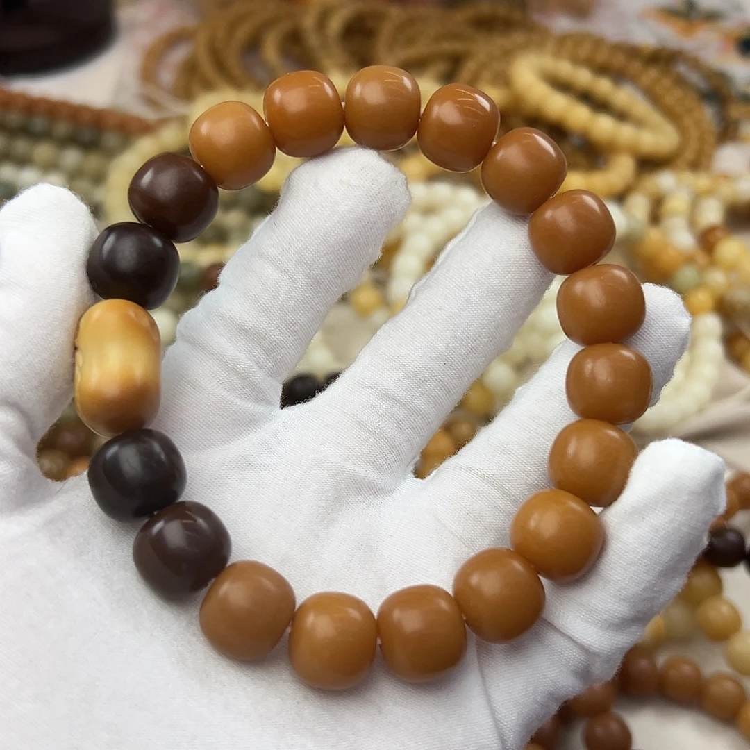 菩提根/象牙果吊坠14干磨885