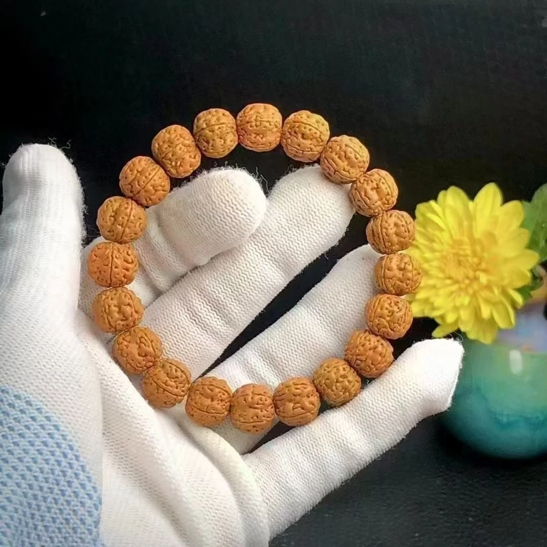 【小金刚】单圈五瓣树王花王硬核小金刚【无礼盒】