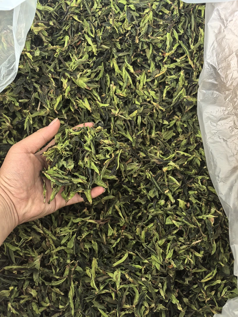 2025野生白茶散茶