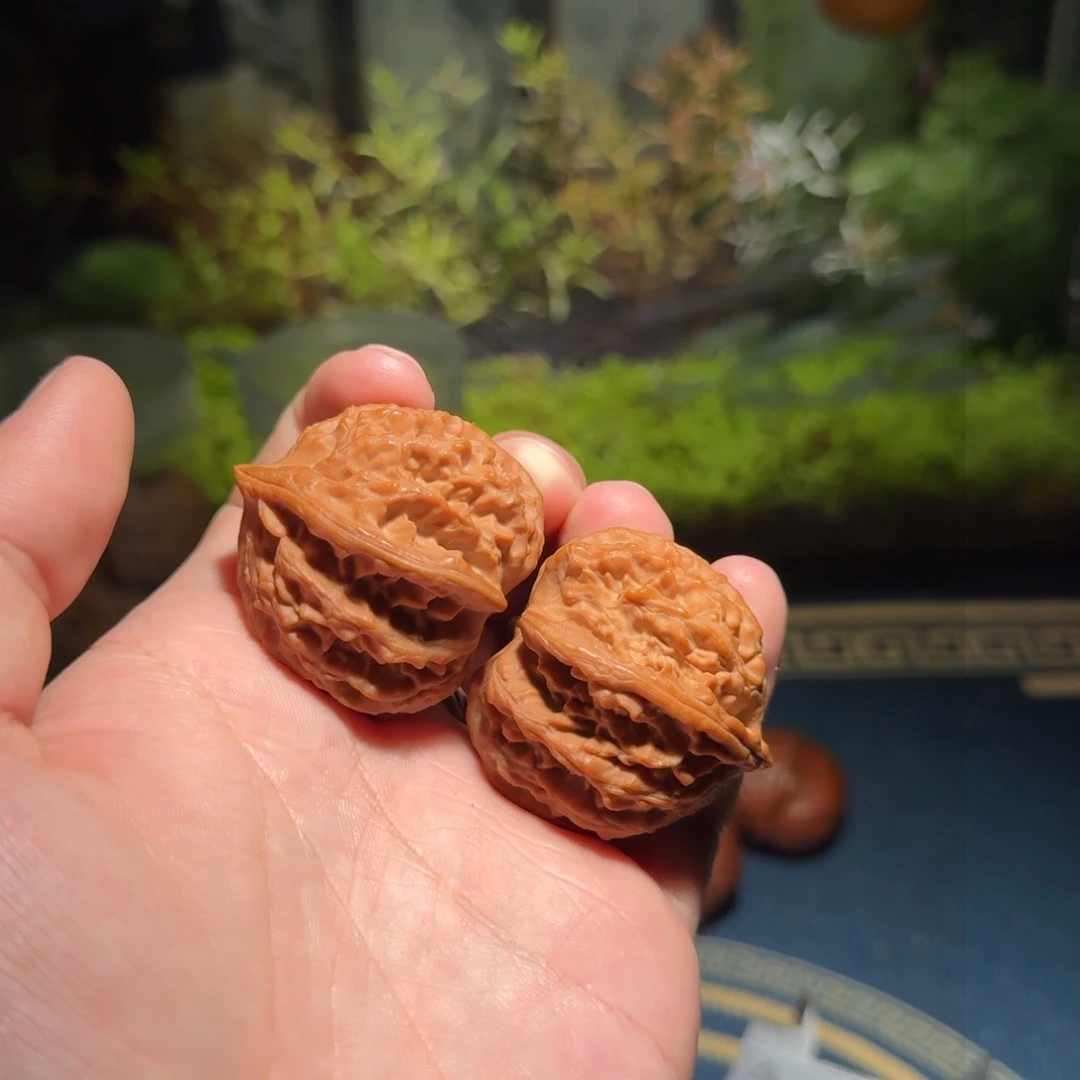 网**五2658号37遵化马蹄文玩核桃