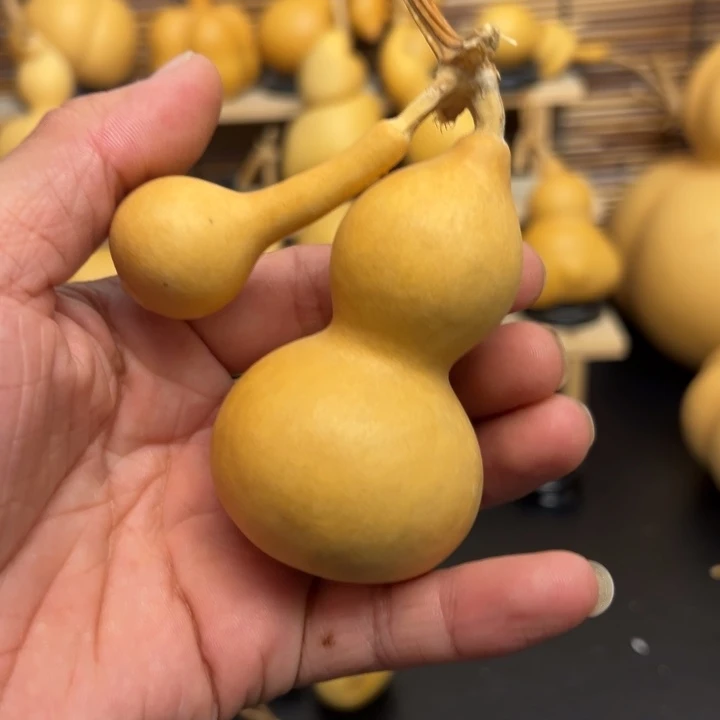 揽*15666666556666999