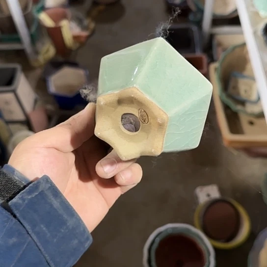 不去看书啊哈在寝室呢不来