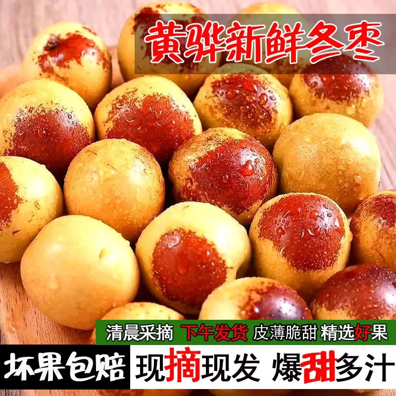 【顺丰快递3斤装】沧州黄骅冬枣新鲜皮薄脆甜现摘现发3斤孔店冬枣