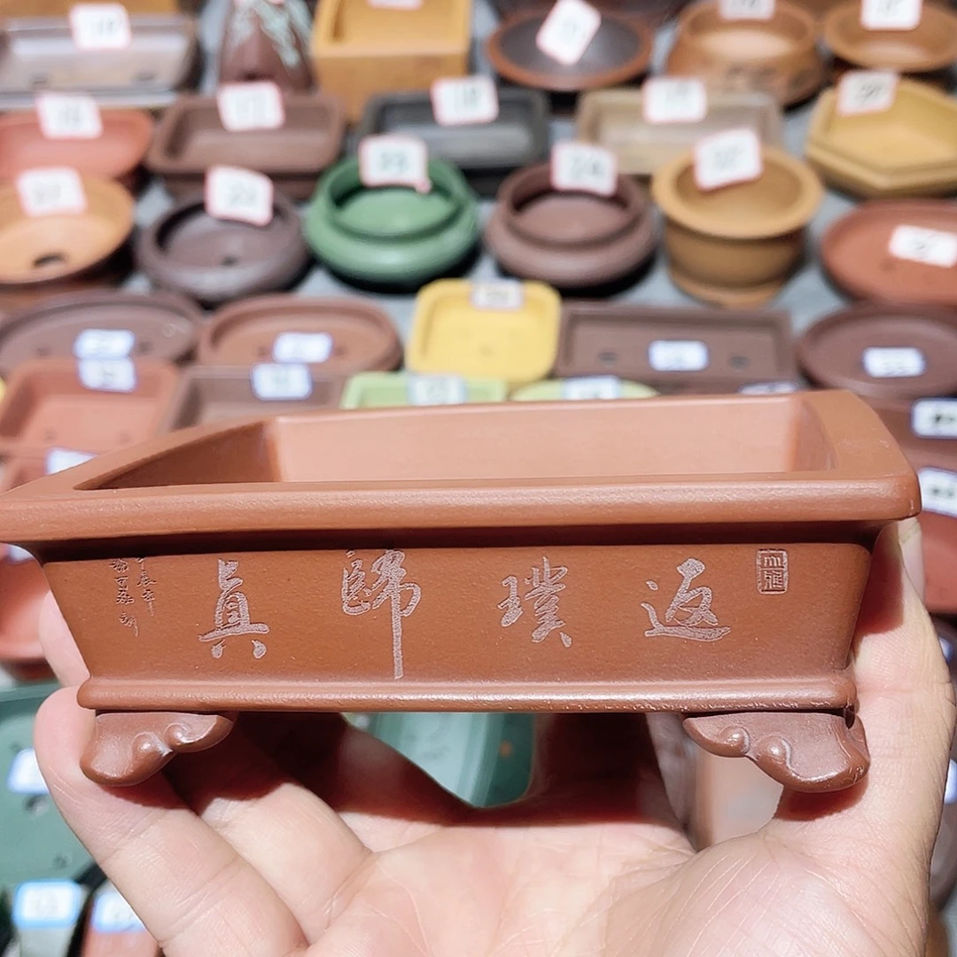 紫砂小盆11*8.8*2.8