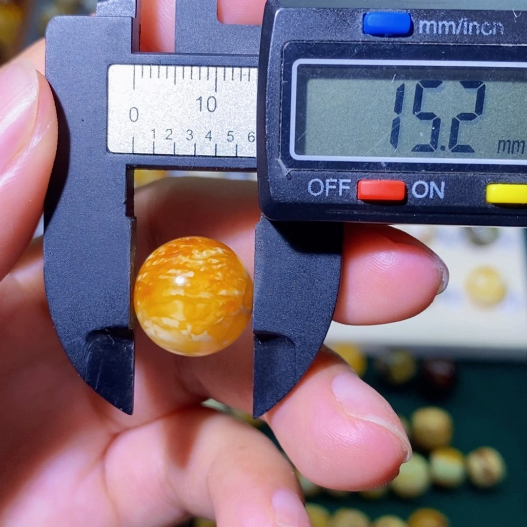 L***学琥珀未镶嵌珠宝奇石