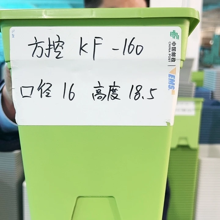 正品方形口16高18果绿带托5个