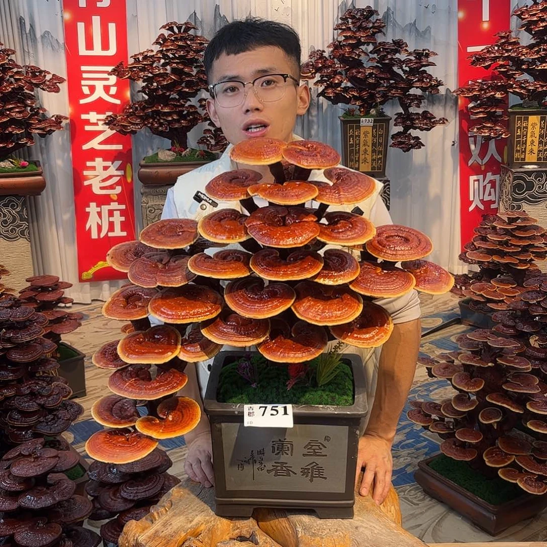 无花朵8888888881tut