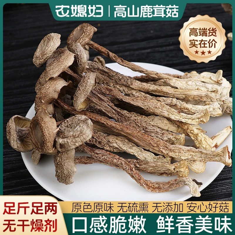 【净重无干燥剂】鹿茸菇干货特级鹿茸菌古田食用菌菇脆脆菇产地直发