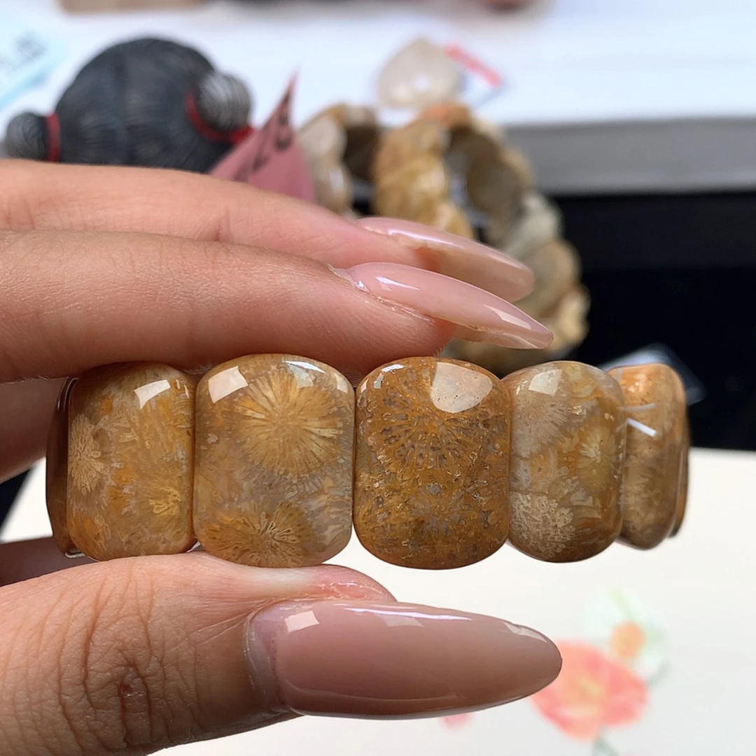 【闪购商品】颈饰未镶嵌硅化珊瑚（珊瑚玉）金*