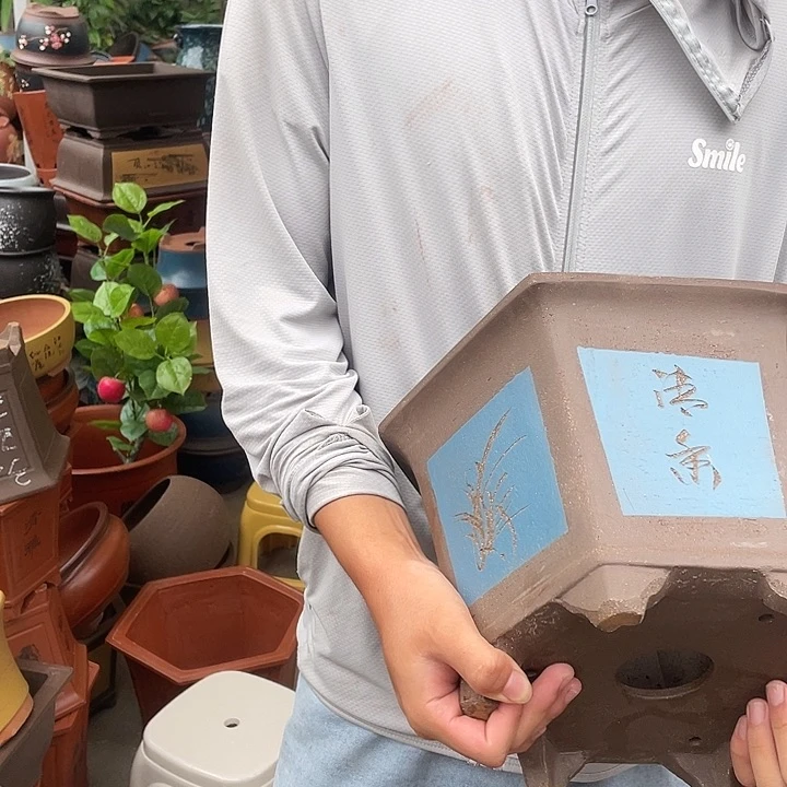 25蓝六方花盆紫砂花盆紫砂