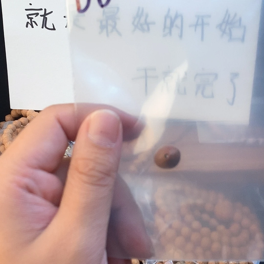 凤眼菩提吊坠1168